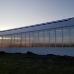 56 150x150 Systemy szklarniowe w Grimstad
